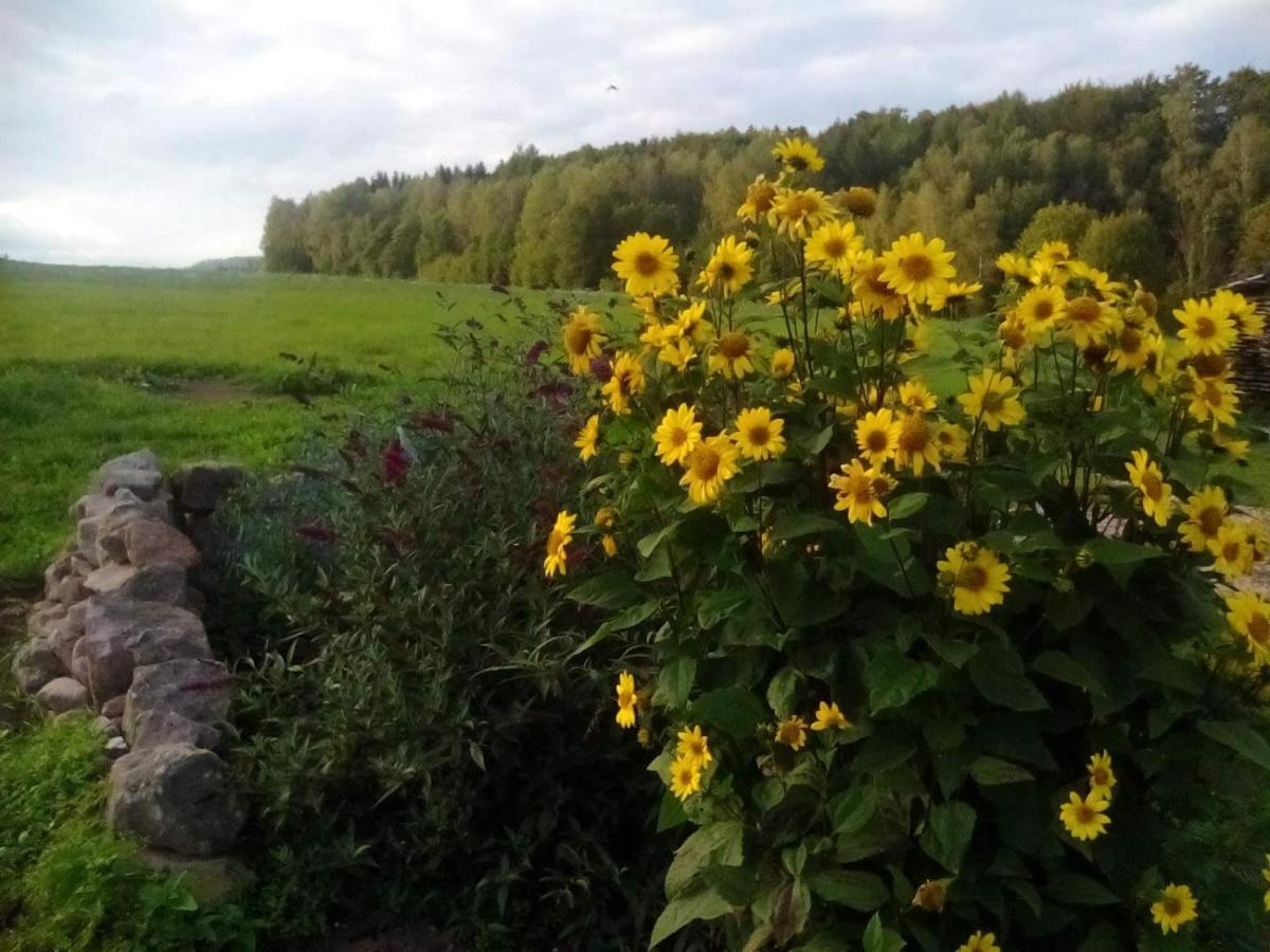 Appartamento U tátovy lípy Jívka Esterno foto